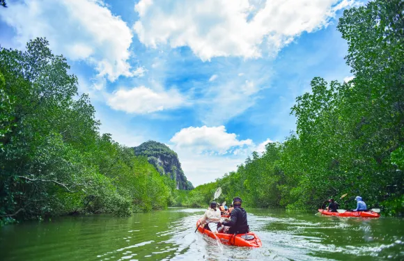 翠峰雨林喀比出發半日獨木舟生態探索之旅