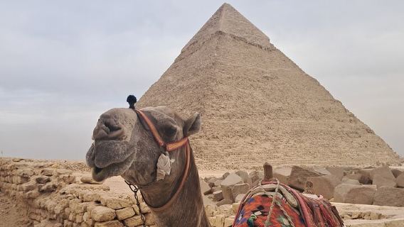 CairoTours