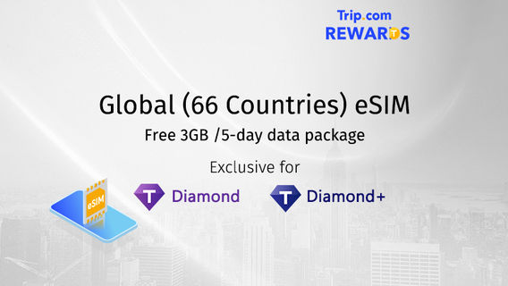 Nam PhiThẻ SIM & Wifi