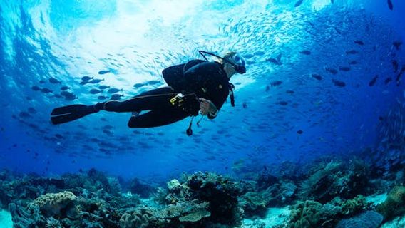 Zanzibar CityExperiences