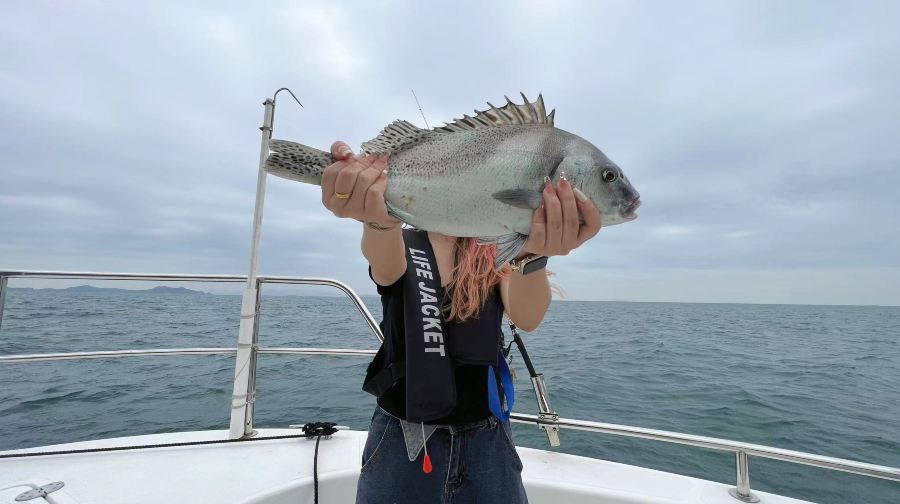 深圳包船夜釣魷魚吹筒仔 海釣專業釣魚艇包船出海