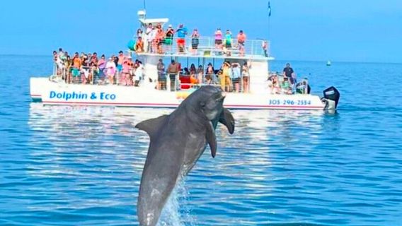 Key WestExperiences