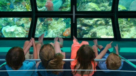 Key WestExperiences