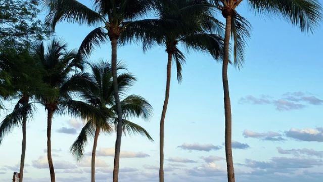 美國邁阿密大沼澤地一日遊-地標經典路線-包車【玩轉美國】