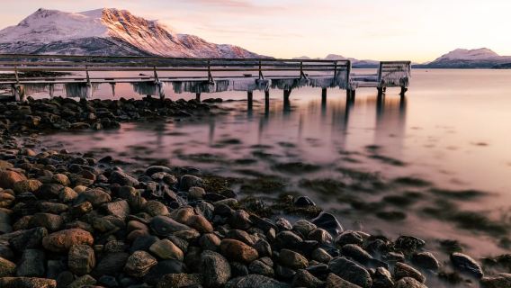 ทรอมเซอ: ทัวร์ฟยอร์ดอาร์กติกสู่เกาะควาลอยาพร้อมอาหารกลางวันแบบแพนอรามิก