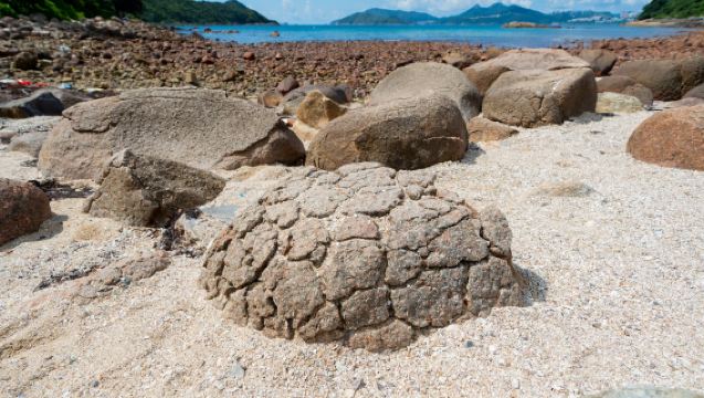 R2G Sai Kung Volcanic Rock Region Sea Route Tour