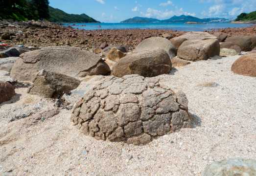R2G Sai Kung Volcanic Rock Region Sea Route Tour