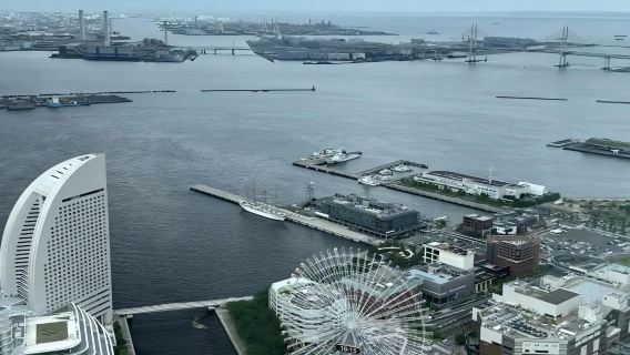 日本東京+橫濱定制包車一日遊/行程可調-可定制多日