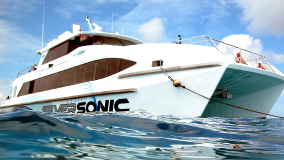Croisière d'une journée Silversonic sur la Grande Barrière de corail (départ de Port Douglas)