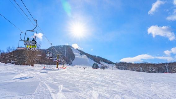 日本北海道星野度假村滑雪場接駁服務【普通話司機/包車訂製】