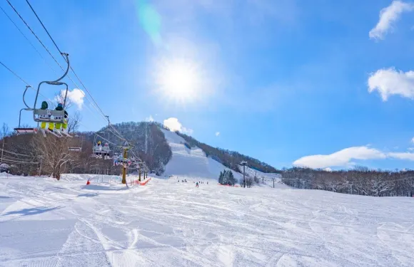 日本北海道星野度假村滑雪場接駁服務【中文司機/包車定制】