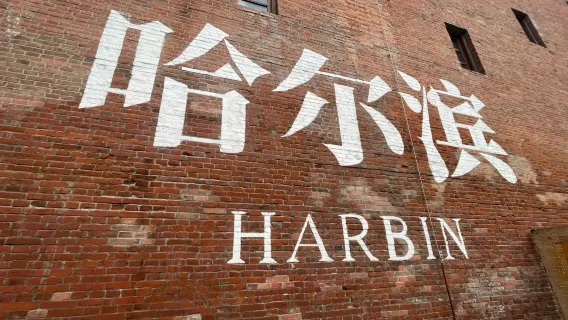 Harbin Songhua River Sightseeing Cableway + Sun Island Scenic Area + Siberian Tiger Park + Ice and Snow World