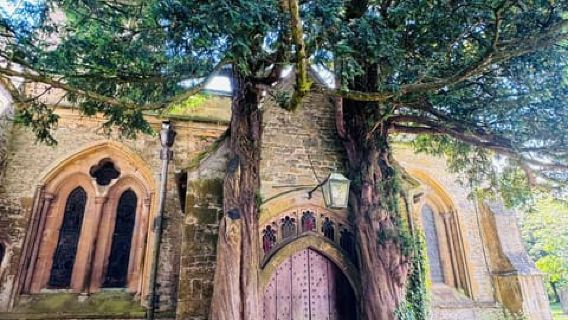 From London: Full-day Cotswolds Tour with Optional Lunch