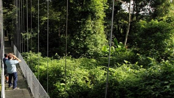 Parque Nacional Arenal: Puentes Colgantes para grupos pequeños