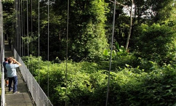 อุทยานแห่งชาติอารีแนล: ทัวร์กลุ่มเล็กสะพานแขวน