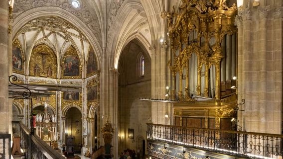 Almería: visita guiada a la catedral y el monasterio de Las Puras