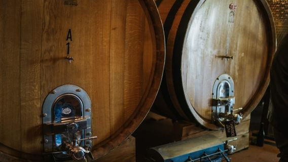 Wine tasting tour with olive oil and salami