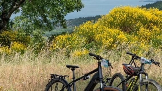 Recorrido en bicicleta eléctrica por el lago de Bolsena y la Vía Francigena