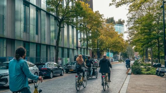 Descubra Róterdam: recorrido en bicicleta por los lugares más destacados de la ciudad con un local