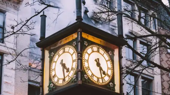 諮詢後下單/加拿大溫哥華唐人街師門大橋卡培蘭奴吊橋燈塔公園/機場/點對點用車/旅遊旅行司導/專車服務