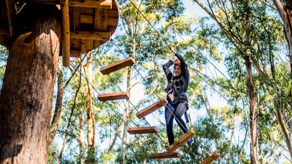 Western Sydney: Tree Ropes Courses