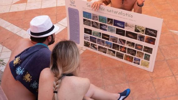 Sestri Levante: Trải nghiệm SUP & Lặn ống thở