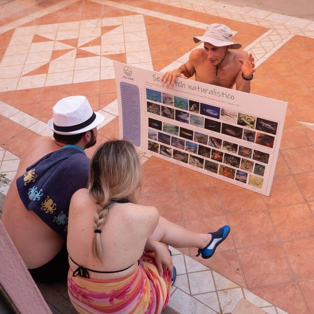 Sestri Levante: SUP & Snorkeling Experience