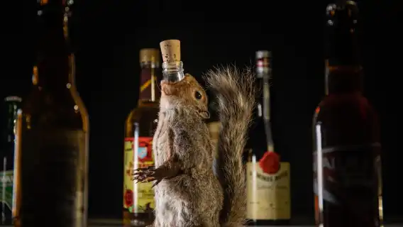 ปาล์มา เด มายอร์กา: ตั๋วเข้าชมพิพิธภัณฑ์อาหารสุดขยะแขยง