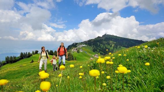 Ab Zürich: Tagesausflug zum Rigi und zum Vierwaldstättersee