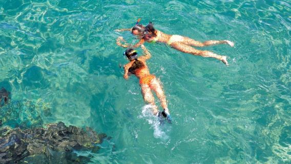 Mallorca: 2-stündige Katamaran-Tour entlang der Küste und zu den Malgrat-Inseln