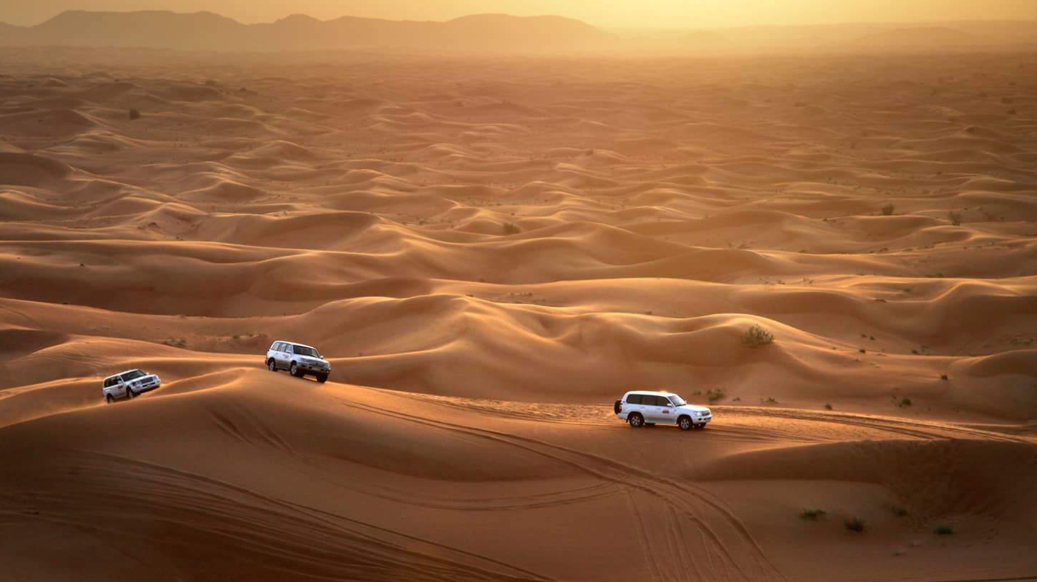 Half-Day Dubai Red Dunes Desert Safari Experience (Including Dinner and Show)