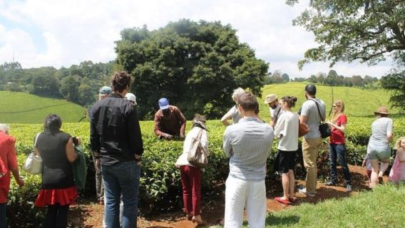 Nairobi: Kiambethu Tea Farm Day Tour with Lunch
