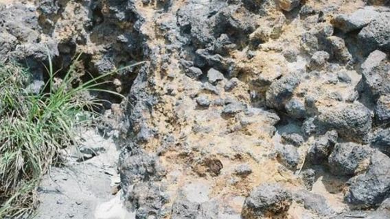 日本九州-熊本市區-熊本城-熊本熊廣場-水前寺成趣園-精品遊