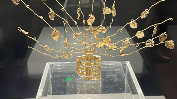 【私享導遊】遼寧省博物館半日遊【獨立包團+抵達時間自訂】