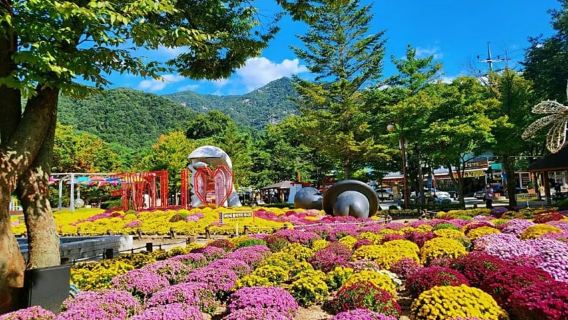 抱川當季全日遊（含蘋果農場體驗）