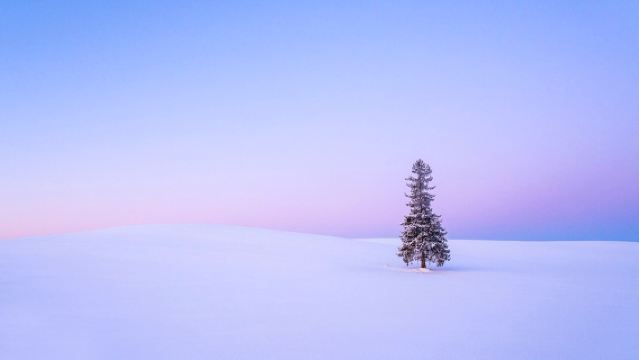 Hokkaido Asahiyama Zoo & Waterfall & Instagrammable Christmas Tree & Elf Stream / Chinese or English Guided Day Trip