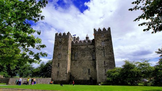 Dublin berlepas: Istana Bunratty + Teluk Galway lawatan sewa peribadi [Tidak Termasuk tiket masuk]