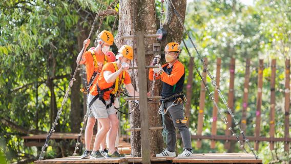 【官方】 平壤叢林過山車及飛索