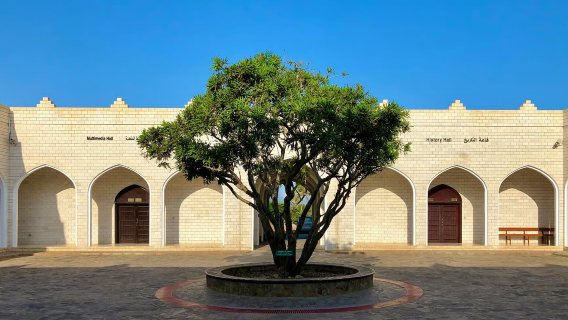 塞拉萊城區和西部海岸一日包車遊