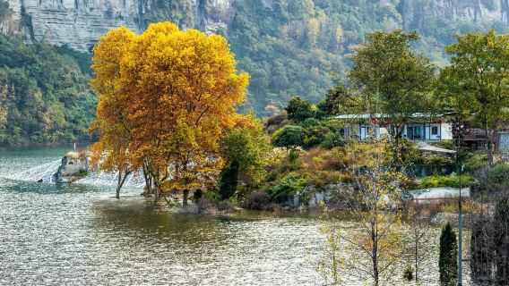 [perjalanan satu hari Gunung Jinfo, Distrik Nanchuan, Chongqing] Mendaki Gunung dari Lereng Barat|Trekking melalui hutan purba (pemandu wisata berbahasa Inggris tersedia)