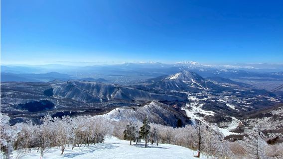 Япония, Хоккайдо + трансфер до Furano Ski Resort / гибкое расписание