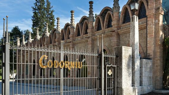 Hầm rượu Codorníu: Tham quan có hướng dẫn + Thưởng thức rượu vang