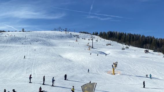 維也納情侶玩雪包車1日｜阿爾卑斯雪景 靈活行程不趕趟