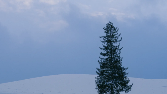 北海道旭川巴士日遊·旭川動物園+千代田農場+白鬚瀑布