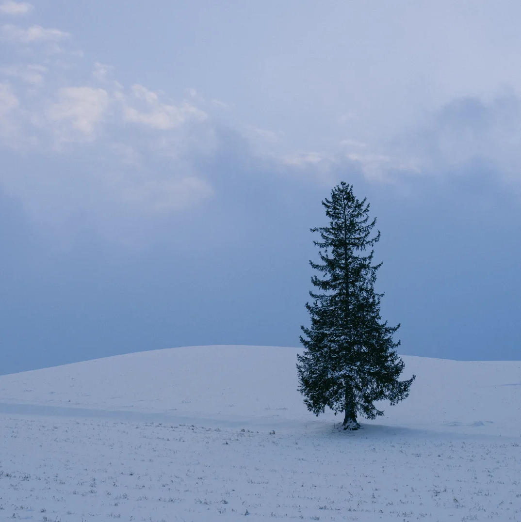 北海道旭川巴士日遊·旭川動物園+千代田農場+白鬚瀑布