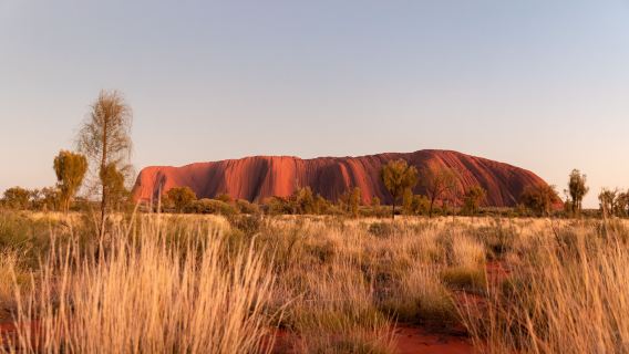 Tour guidato a piedi all'alba di Uluru 10,5 KM con autista inglese e trasferimento dall'hotel