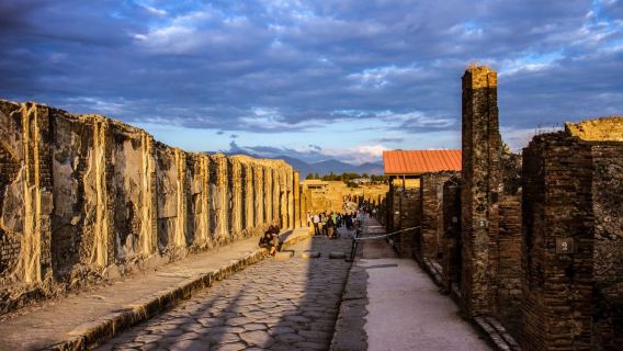 Itinerario personalizzato con noleggio con conducente esclusivo in Italia|Tour di un giorno in noleggio con conducente esclusivo in cinese/inglese