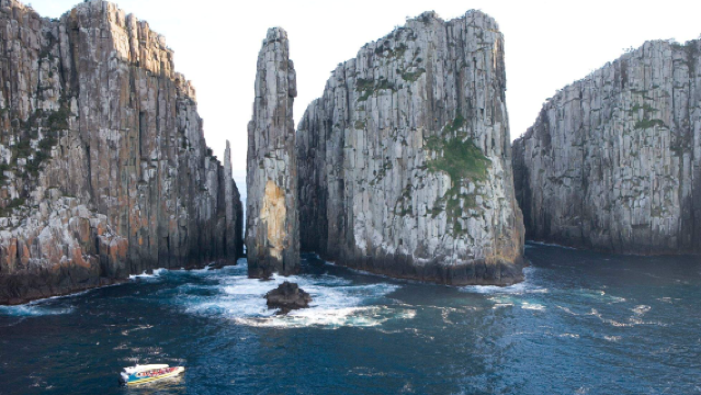 ทัวร์ล่องเรือ 3 ชั่วโมงสำรวจธรรมชาติป่าเถื่อนที่เกาะแทสมันในแทสเมเนีย (ออกเดินทางจากพอร์ตอาร์เทอร์)
