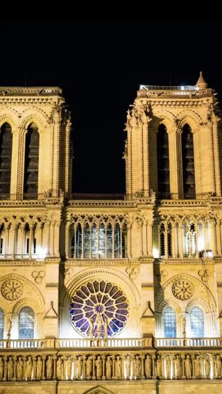 Paris city private charter: Notre-Dame Cathedral + Eiffel Tower + Ile de la Cite + Montmartre + Avenue | Chinese-English optional