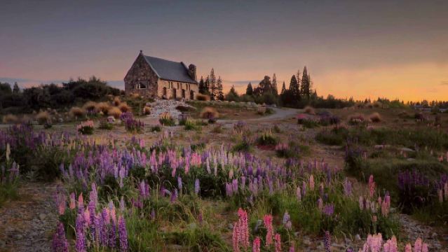Geführte 16-Personen-Tour durch Aoraki und Tekapo in Neuseeland (Einzelfahrt von Christchurch nach Queenstown)